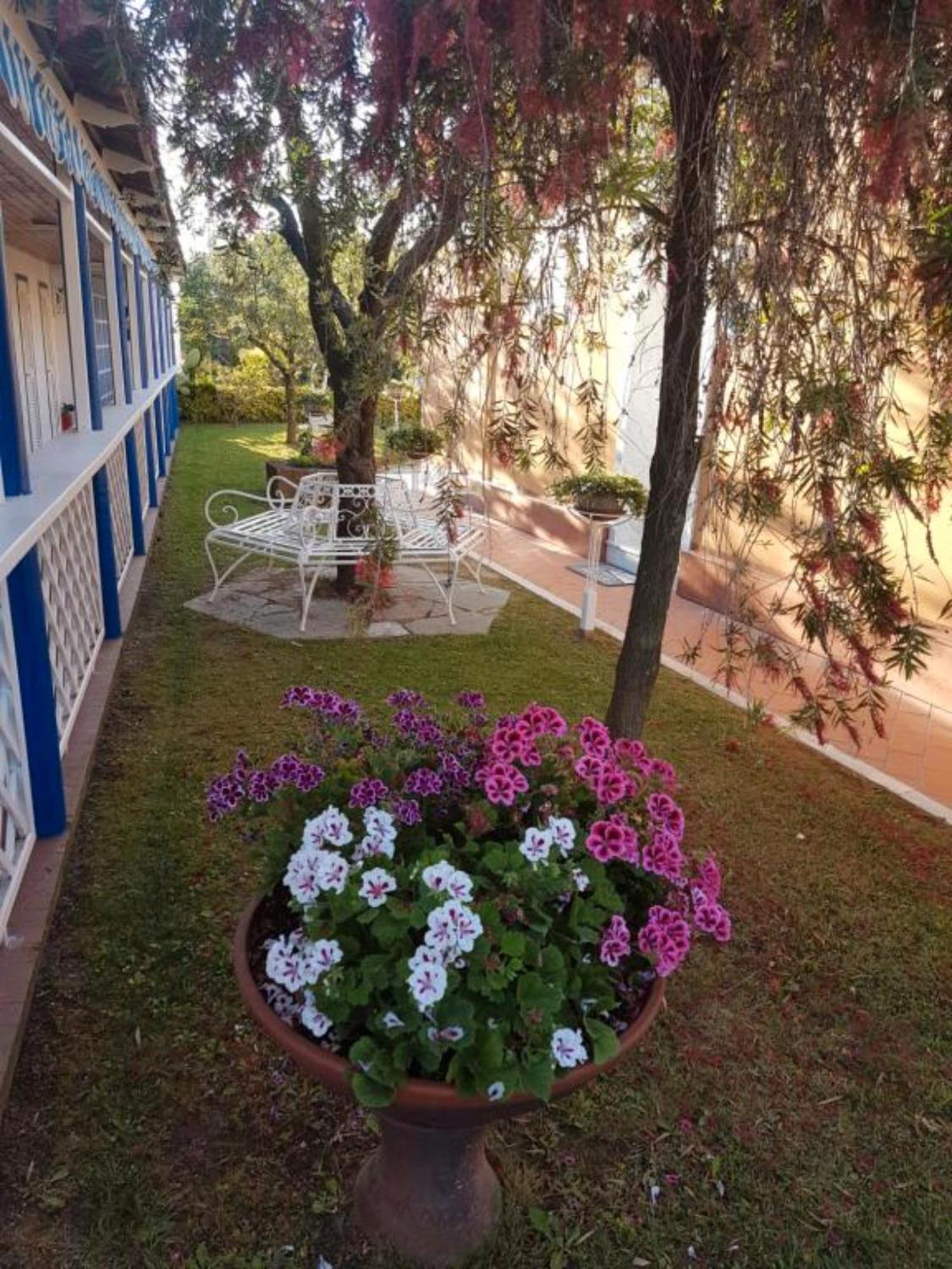 Bed And Breakfast Bagno Venezia Marina Di Carrara Exterior foto